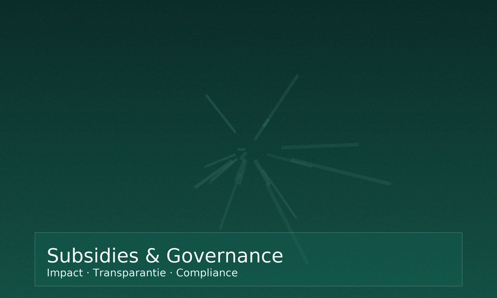 Subsidie en governance